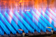 Winkton gas fired boilers